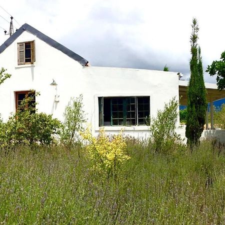 Designer Farm Cottage On Farm ฟรันเชิค ภายนอก รูปภาพ