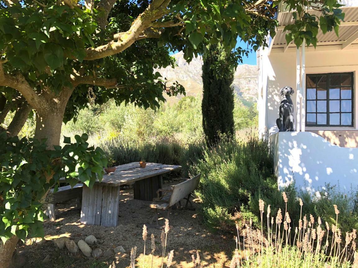 Designer Farm Cottage On Farm ฟรันเชิค ภายนอก รูปภาพ